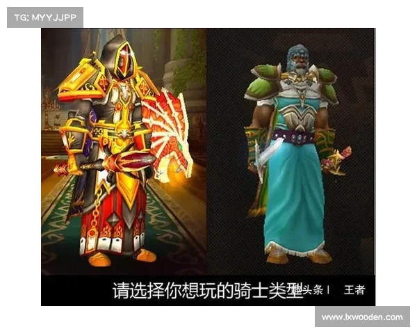 魔兽世界怀旧服圣骑士：治疗之道耀光辉